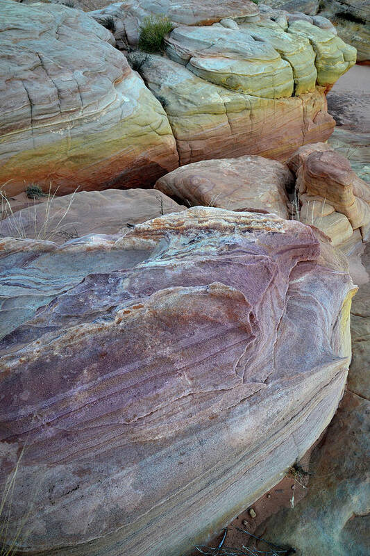 Valley Of Fire State Park Poster featuring the photograph Rainbow of Sandstone in Valley of Fire by Ray Mathis