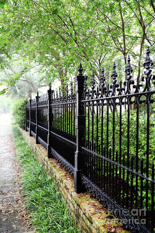 Fence Poster featuring the photograph Rainy Day Walk by Sylvia Cook