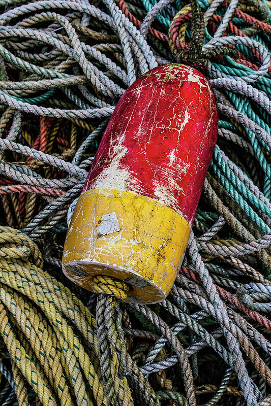 Buoy Poster featuring the photograph Red and Yellow Buoy by Carol Leigh