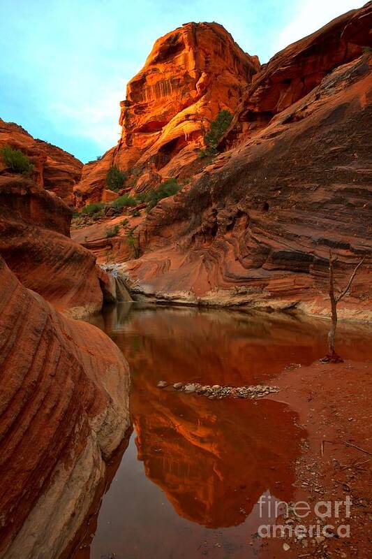 Red Cliffs Poster featuring the photograph Red Cliffs Reflections by Adam Jewell