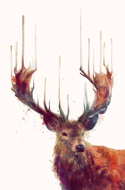 Red Deer Poster featuring the painting Red Deer by Amy Hamilton
