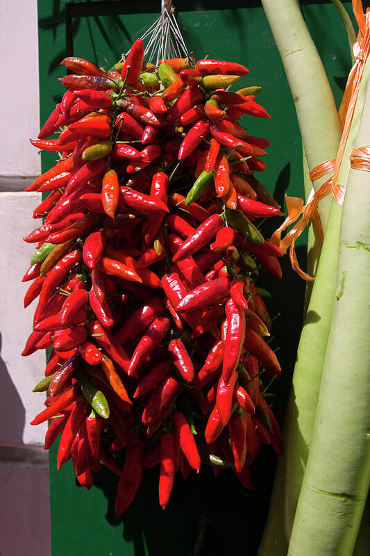 Hot Chili Peppers Hanging Outdoors Poster featuring the photograph Red Hot Chili Peppers by Sally Weigand