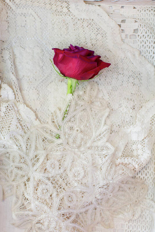 Red Poster featuring the photograph Red Rose on Lace by Susan Gary