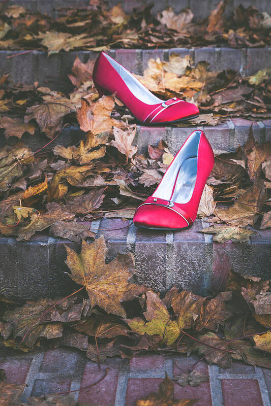 Accessory Poster featuring the photograph Red Shoes II by Maria Heyens