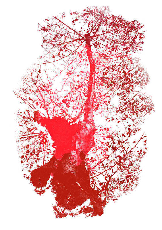 Tree Poster featuring the painting Red Tree in Autumn by AM FineArtPrints