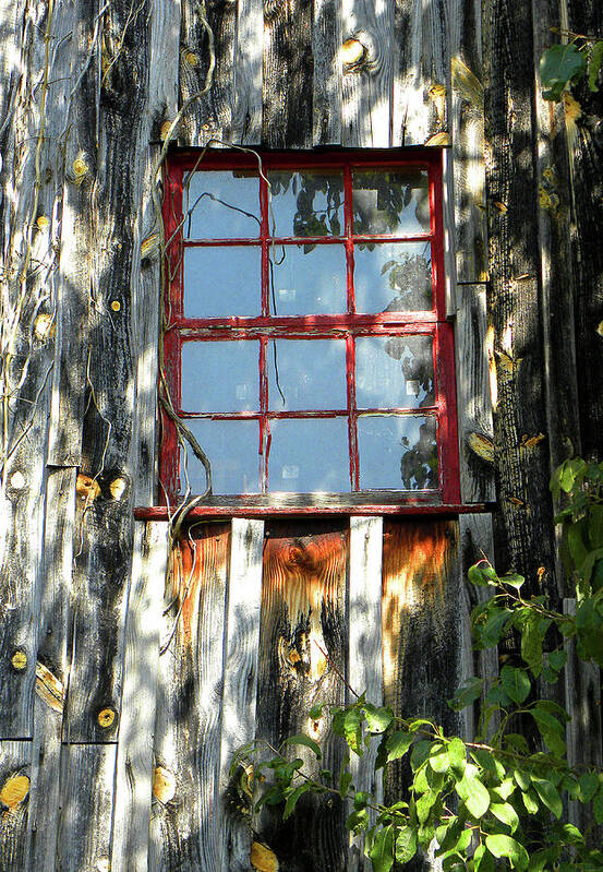 Red Window Poster featuring the photograph The Red Window by Sandi OReilly