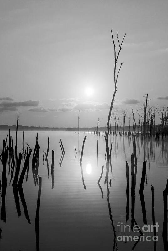 Manasquan Reservoir Poster featuring the photograph Reflections of Solitude by Debra Fedchin