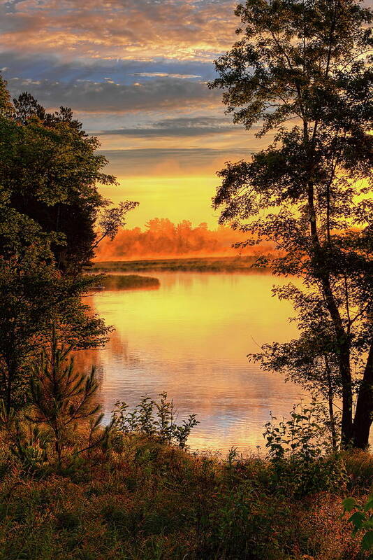 Backwater Poster featuring the photograph Rhinelander Flowage Golden Sunrise by Dale Kauzlaric