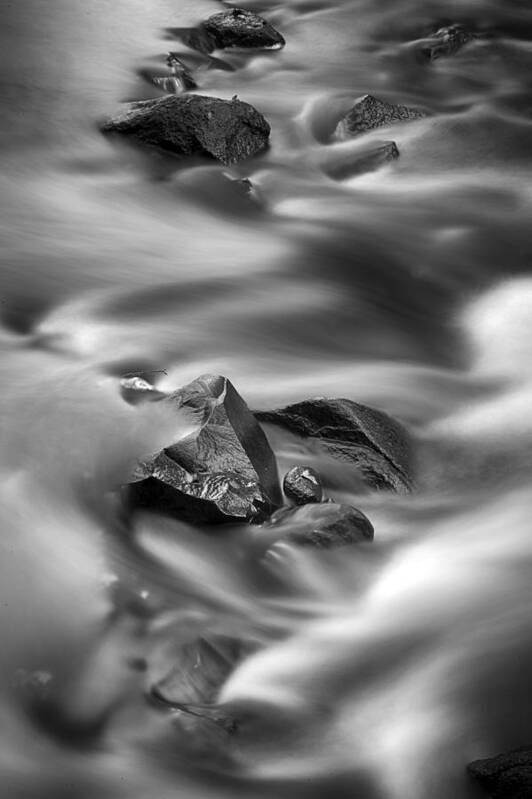 River Poster featuring the photograph River Rocks by CA Johnson