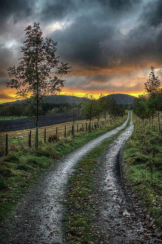 Sunset Poster featuring the photograph Road to the sunset by Colin Shearer