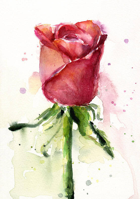 #faatoppicks Poster featuring the painting Rose Watercolor by Olga Shvartsur