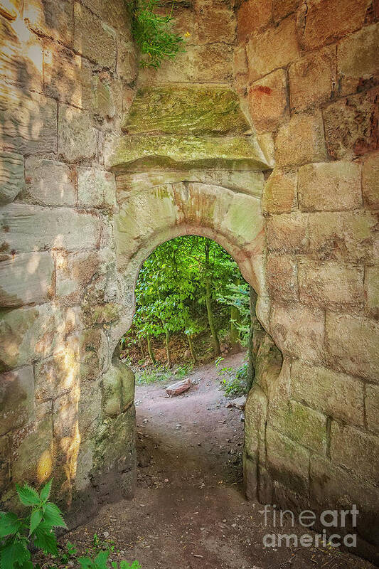 Castle Poster featuring the photograph Rosslyn Castle Forest Entry by Antony McAulay