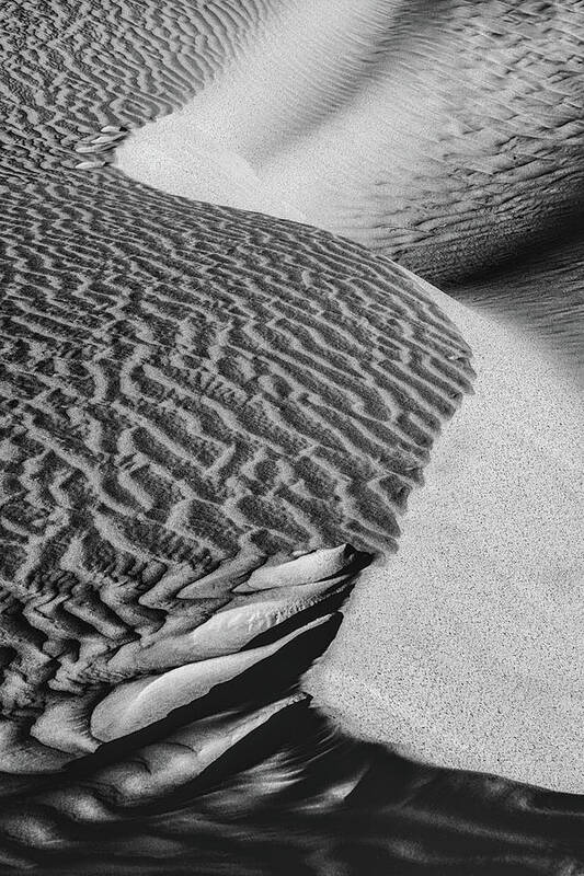 Monochrome Poster featuring the photograph S-s-sand by Laura Roberts