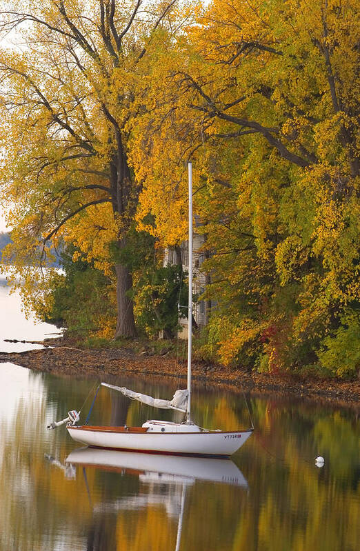 Lake Champlain Islands Poster featuring the photograph Sailboat in Alburg Vermont by George Robinson