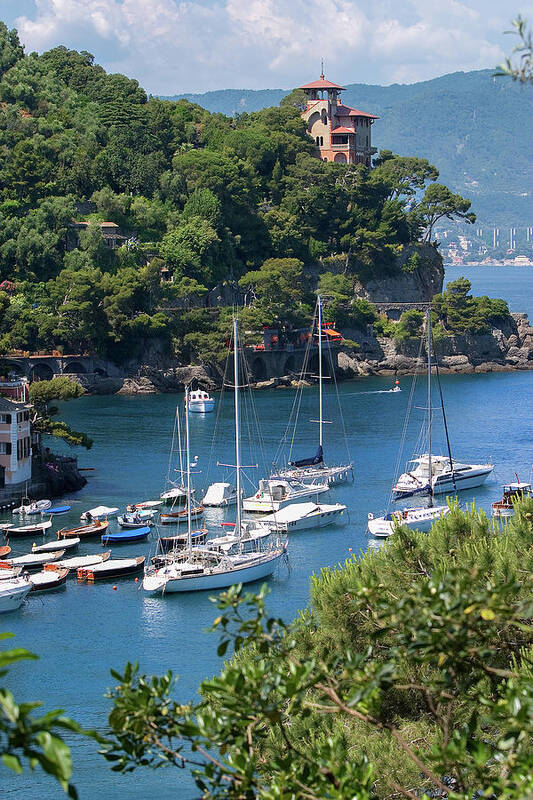 Italy Poster featuring the photograph Sailboats in Portofino by Al Hurley