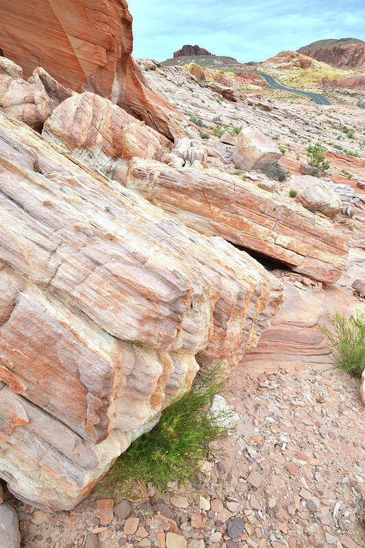 Valley Of Fire State Park Poster featuring the photograph Sandstone along Park Road in Valley of Fire by Ray Mathis