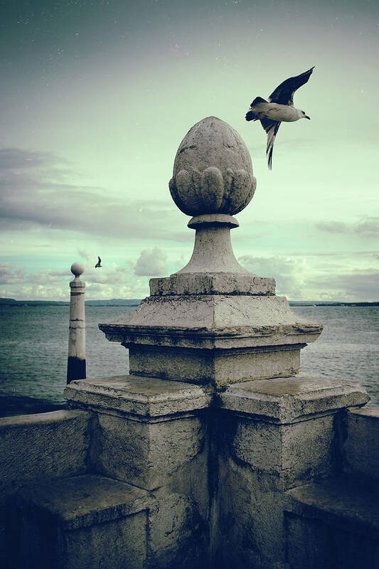 Lisbon Poster featuring the photograph Seagulls in Columns Dock by Carlos Caetano