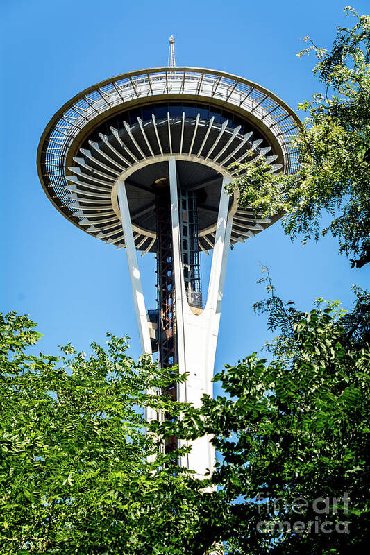 Evening Poster featuring the photograph Seattle Space Needle by Deborah Klubertanz