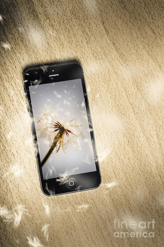 Phone Poster featuring the photograph Seeding connectivity by Jorgo Photography