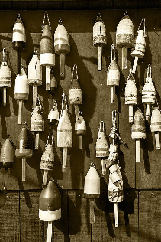 Fishing Poster featuring the photograph Sepia Toned Fishing Buoys in Maine by Randall Nyhof