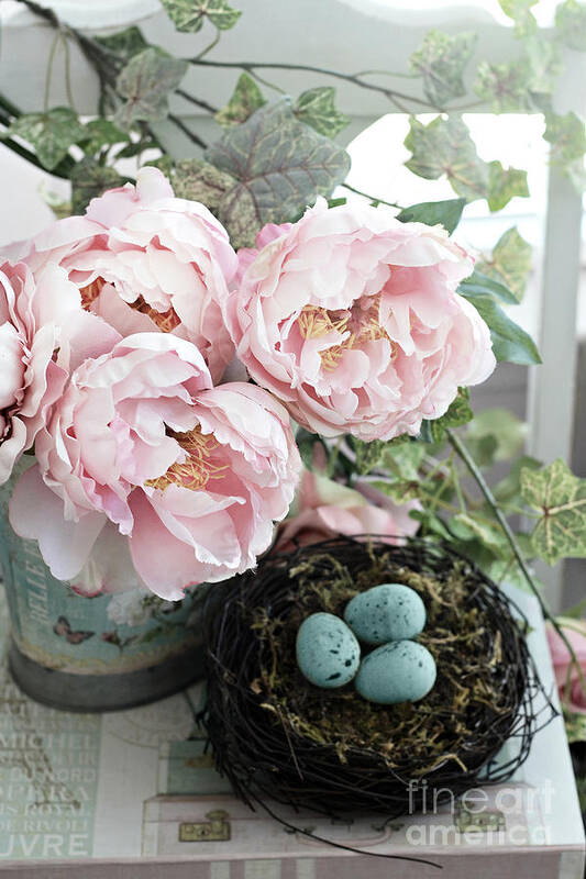 Peony Poster featuring the photograph Shabby Chic Peonies With Bird Nest Robins Eggs - Summer Garden Peonies by Kathy Fornal