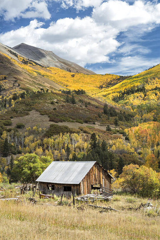 Autumn Poster featuring the photograph Shack with Relics by Denise Bush
