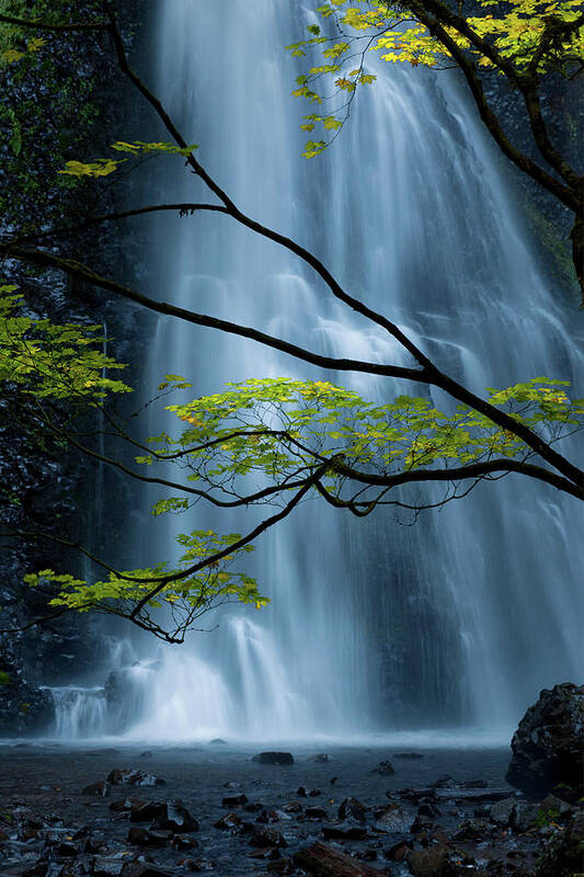 Waterfall Poster featuring the photograph Silver Fall by Andrew Kumler