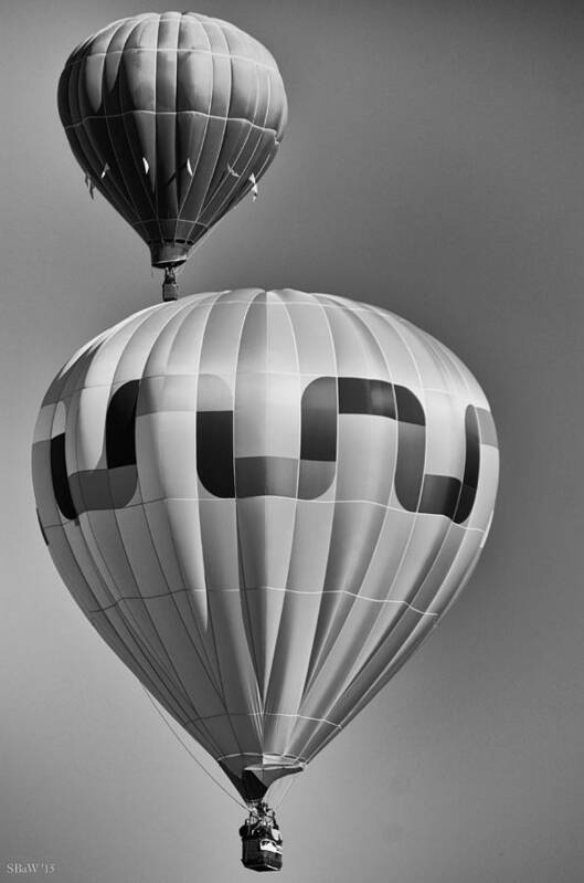 Hot Air Balloons Poster featuring the photograph Silver Sky Balloons by Kevin Munro