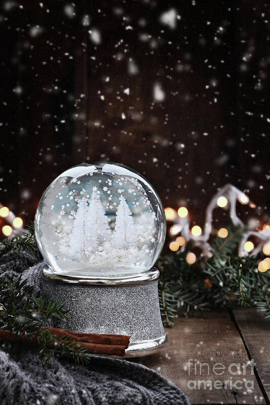 Snowglobe Poster featuring the photograph Silver Snow Globe by Stephanie Frey