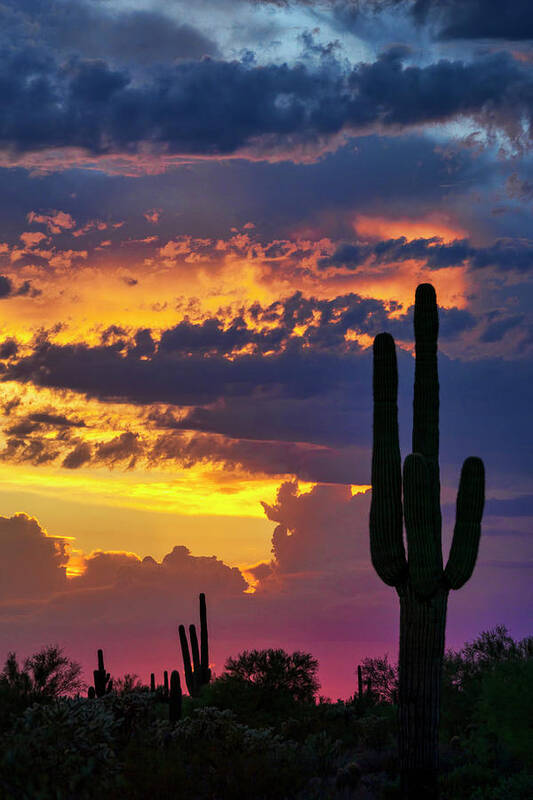 Saguaro Sunset Poster featuring the photograph Skies Aglow in Arizona by Saija Lehtonen
