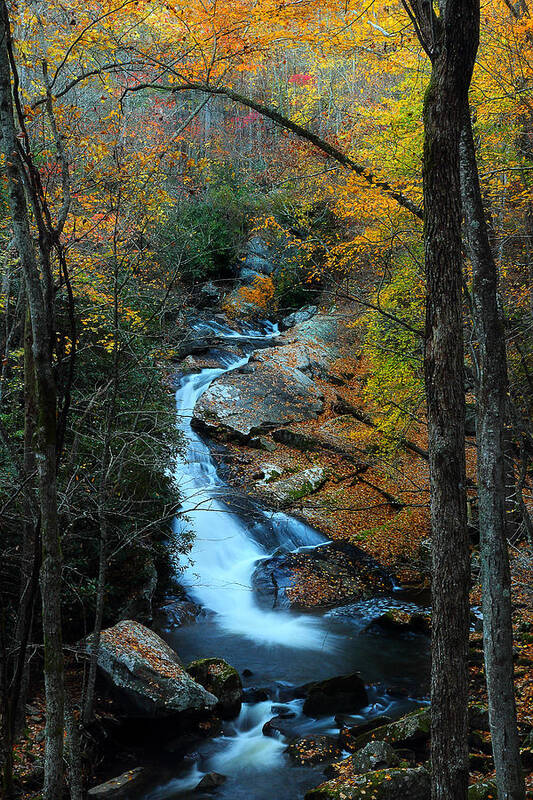 Mountain Stream Poster featuring the photograph Smoky Mountain Autumn by Mike Eingle