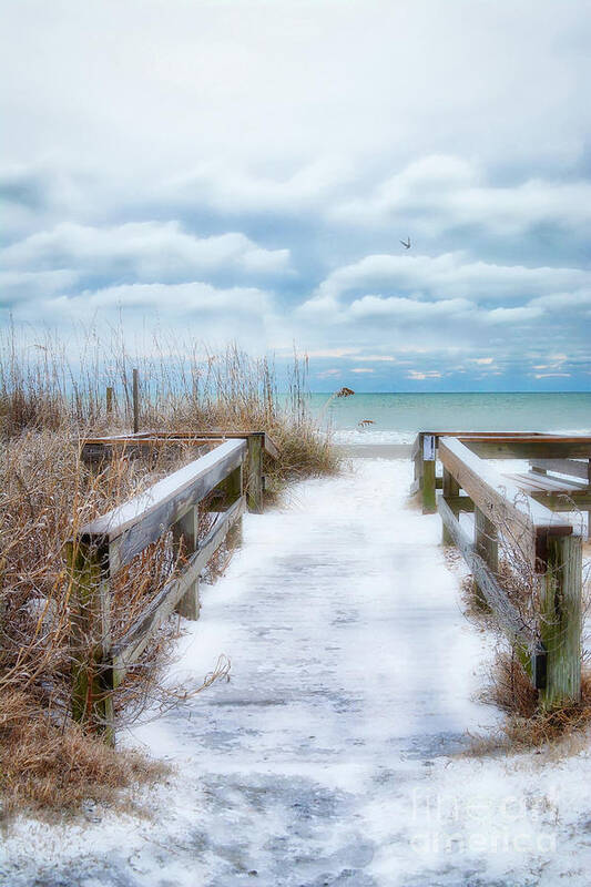 Beach Poster featuring the photograph Snow On The Beach 9 by Kathy Baccari