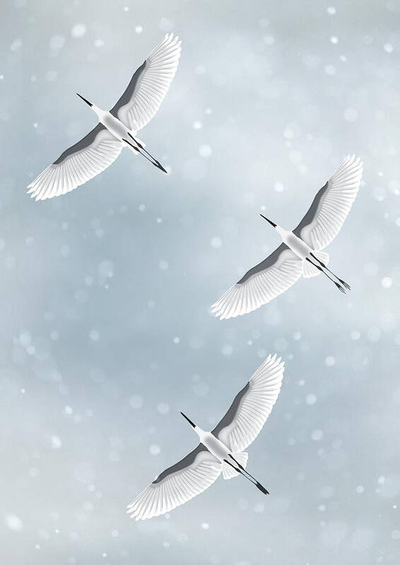 Flying Herons Poster featuring the digital art Snowfall by Moira Risen