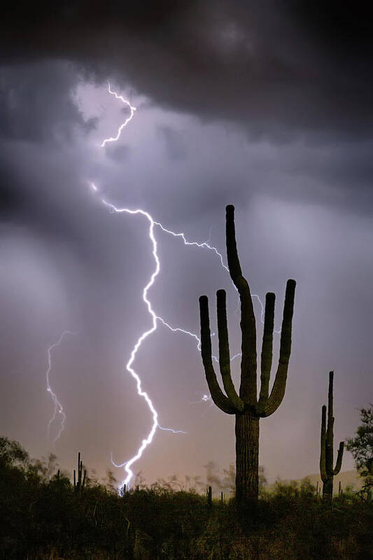 Monsoon Poster featuring the photograph Sonoran Desert Monsoon Storming by James BO Insogna