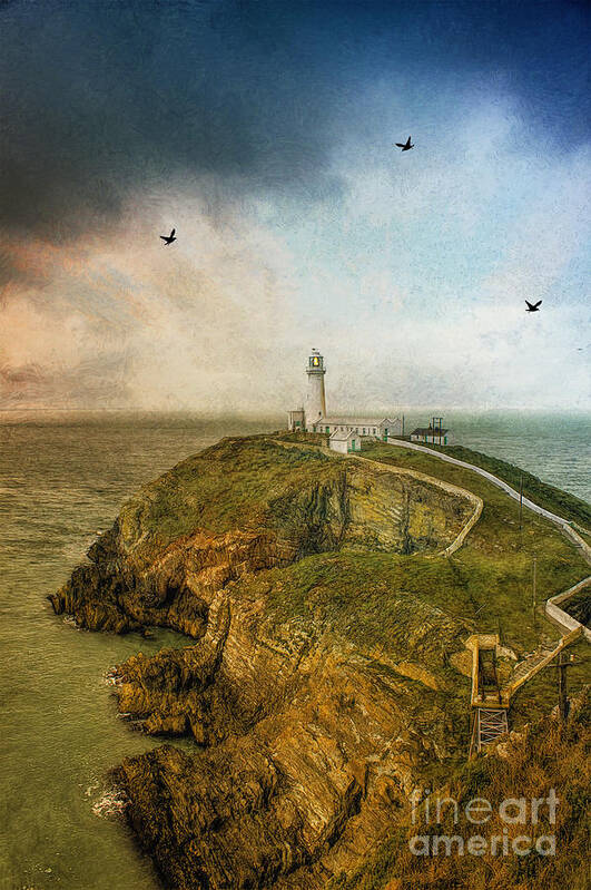 Lighthouse Poster featuring the photograph South Stack Lighthouse by Ian Mitchell