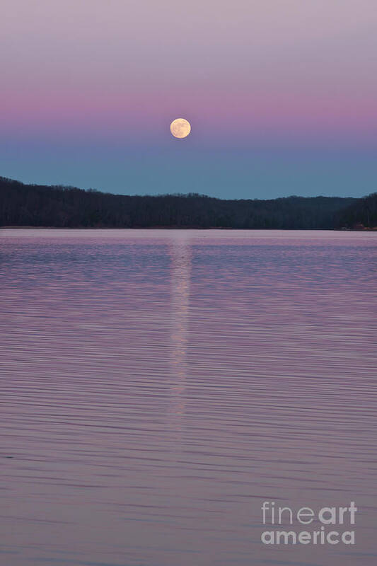 Moon Poster featuring the photograph Spellbound by Finesse Fine Art