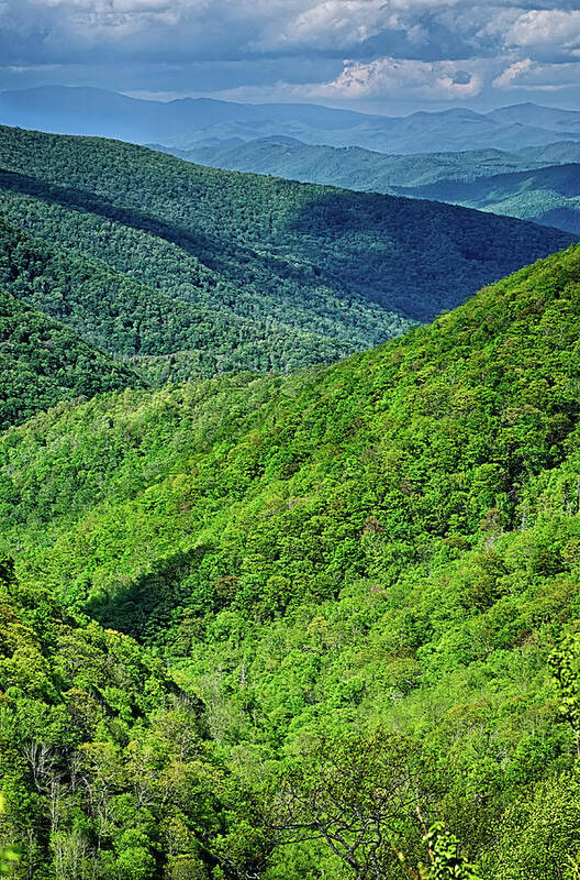 Mountains Poster featuring the photograph Springtime In The Blue Ridge Mountains by Alex Grichenko