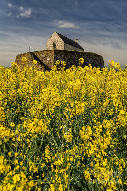 St Cwyfans Church Poster featuring the photograph St Cwyfans Church by Adrian Evans