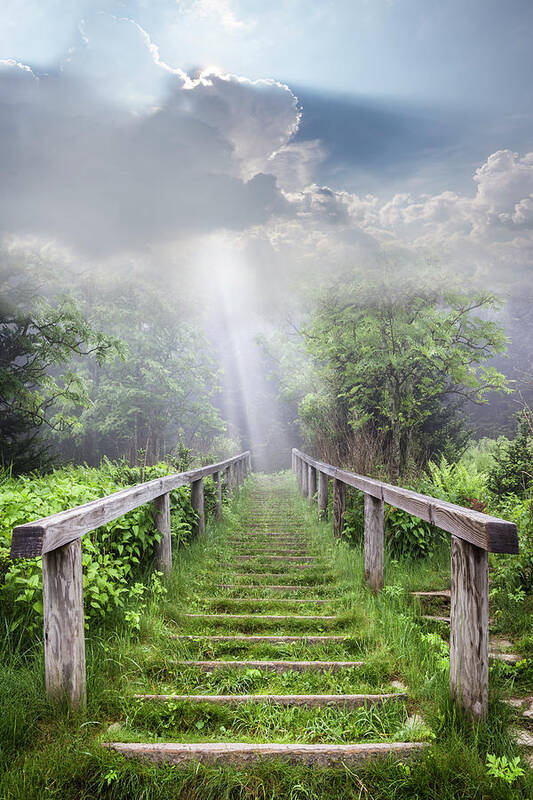 Appalachia Poster featuring the photograph Stairway Up to Heaven by Debra and Dave Vanderlaan