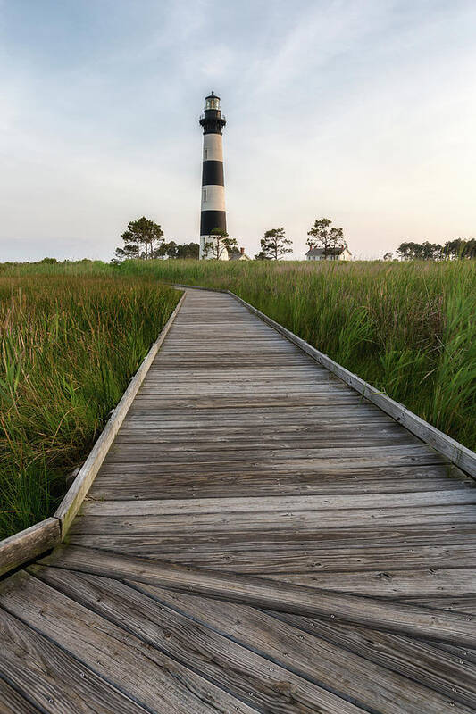 North Carolina Coast Poster featuring the photograph Standing Tall by Paul Malcolm
