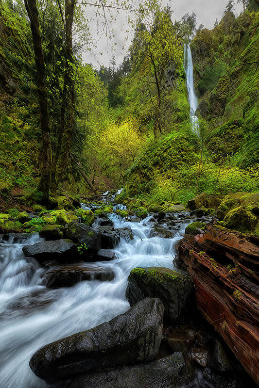 Columbia Poster featuring the photograph Starvation Creek and Falls by Ryan Manuel