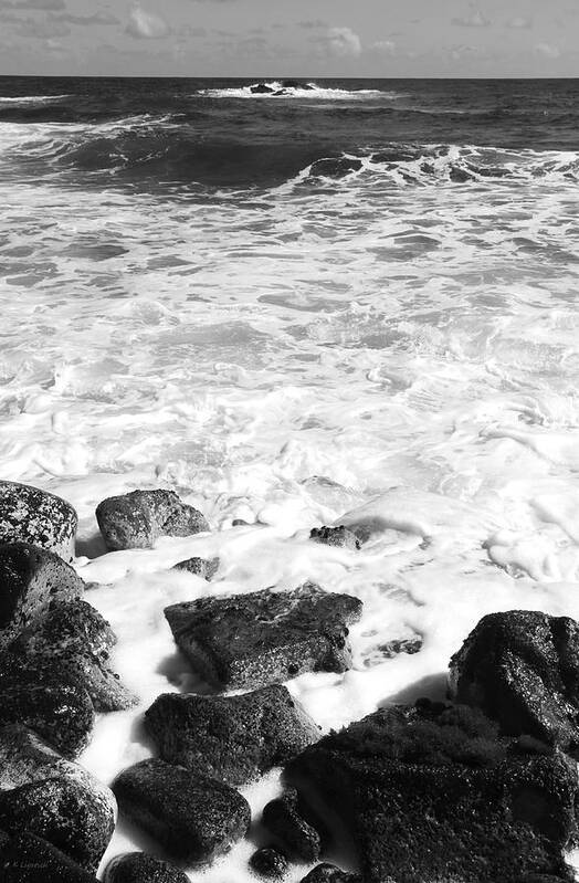 Ocean Poster featuring the photograph Steps In To The Sea by Kerri Ligatich