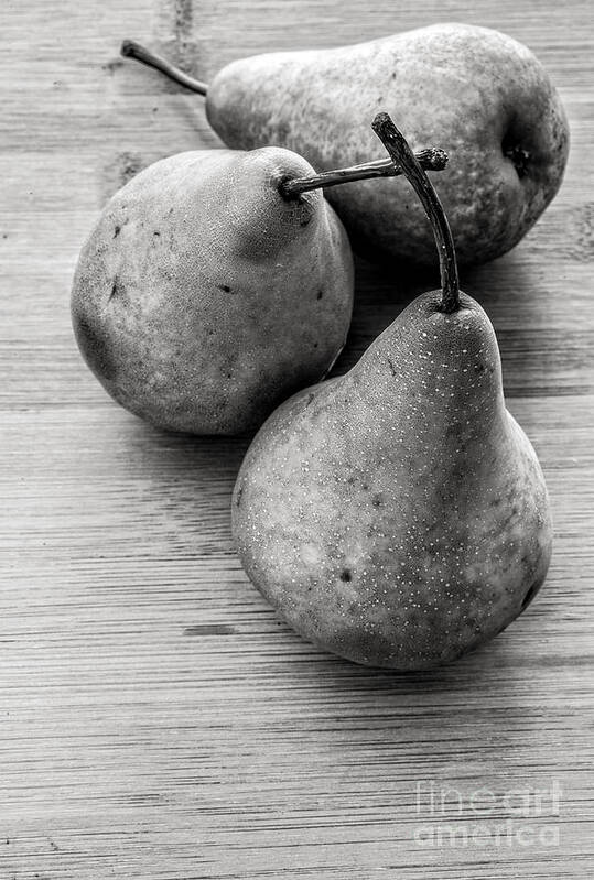 Food Poster featuring the photograph Still Life of Three Pears by Edward Fielding