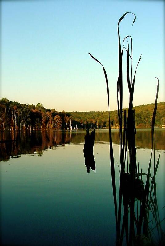 Lake Photography Poster featuring the pyrography Still Waters by Iconic Images Art Gallery David Pucciarelli
