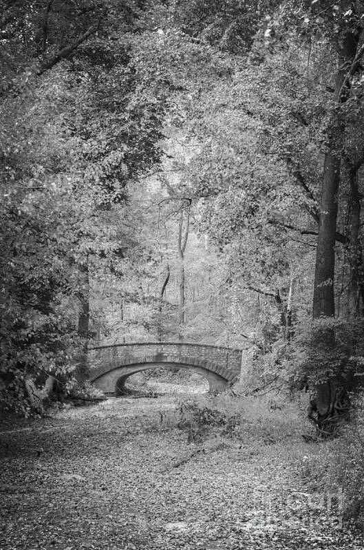 Stone Bridge Poster featuring the photograph Stone Bridge In The Woods by Tamara Becker
