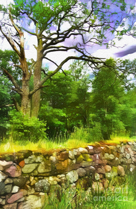 Stone Poster featuring the photograph Stone Wall in Glencoe by Judi Bagwell