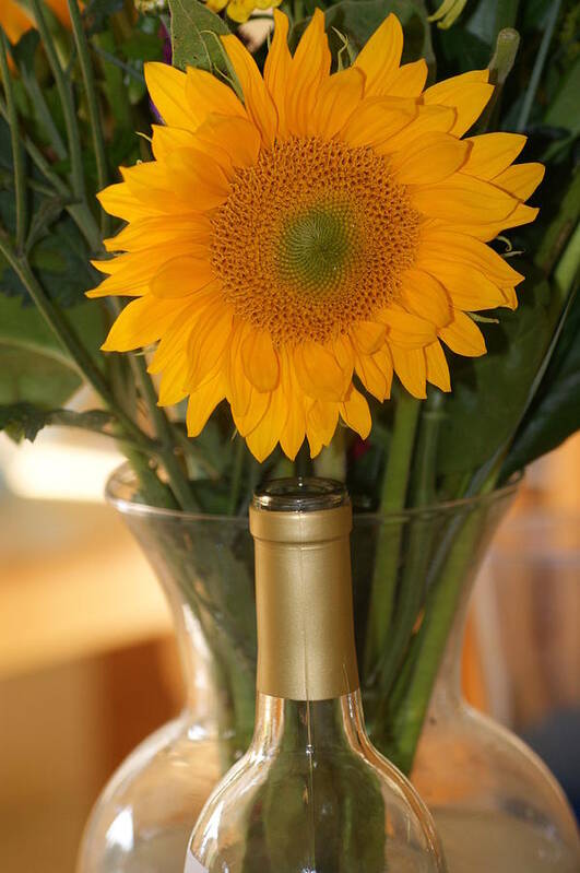 Sunflower Poster featuring the photograph Sunflower in a bottle or is it vase. by Liz Vernand
