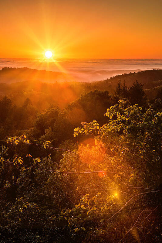 Pacific Poster featuring the photograph Sunset Fog over the Pacific #2 by Bryant Coffey