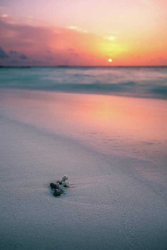 Sunset On The Beach - Maldives - Travel Photography Poster featuring the photograph Sunset on the beach - Maldives - Travel photography by Giuseppe Milo