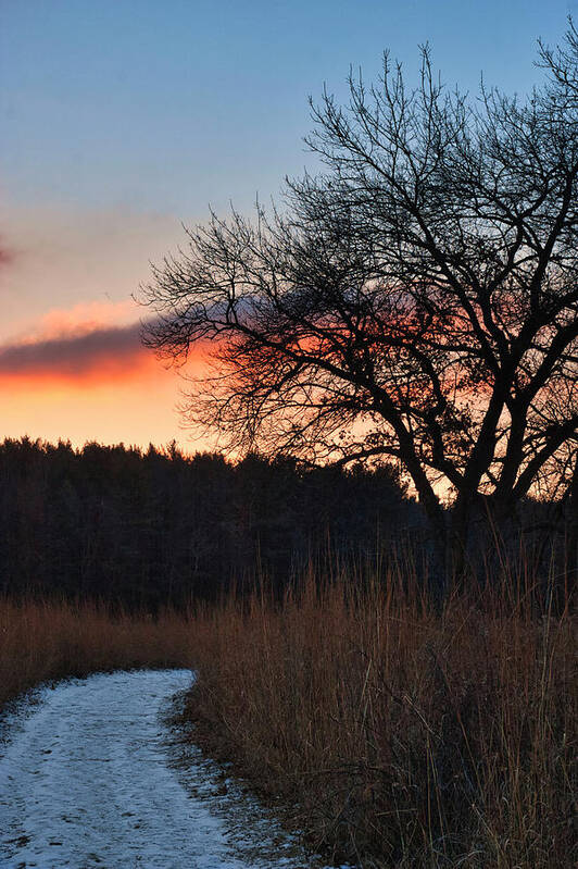 Madison Poster featuring the photograph Sunset - UW Arboretum - Madison - Wisconsin by Steven Ralser